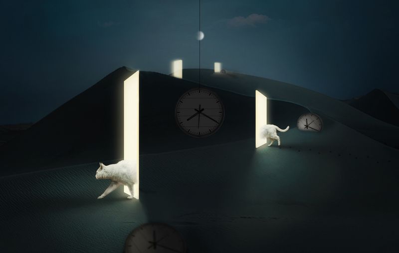 创意 后期 猫 时光穿梭眯photo preview