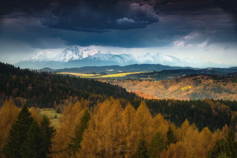 mountainscape, mountains, tatras, poland, beskidy, wierchomla, spring, clouds, forest, storm, trees, polska, tatry, landscape, moody The Sword of Damoclesphoto preview