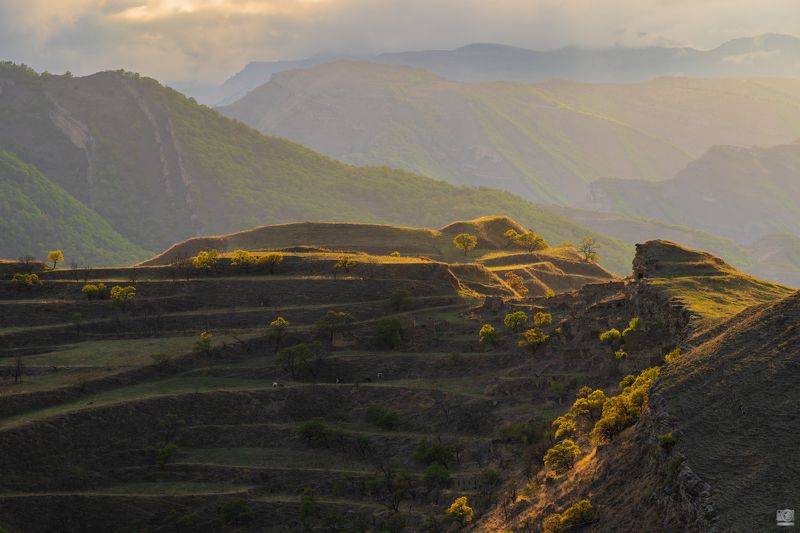 террасы горы Дагестан Закат над террасами Дагестана фото превью