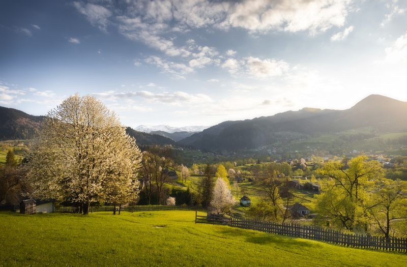 Dzembronyaphoto preview