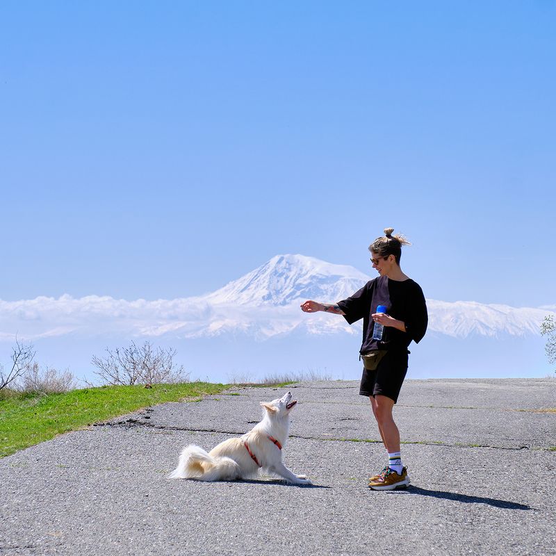 [perfect catch]photo preview