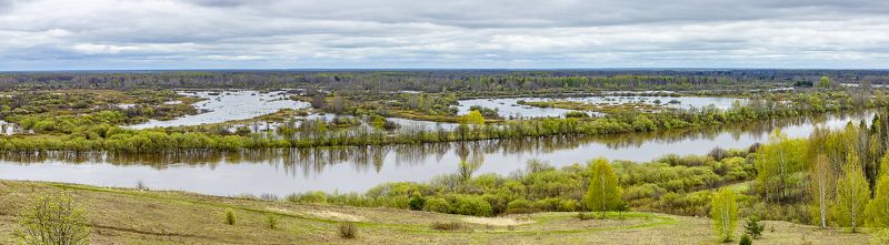 разлив, река, весна, май, вода Разлив реки Молома (2023)photo preview
