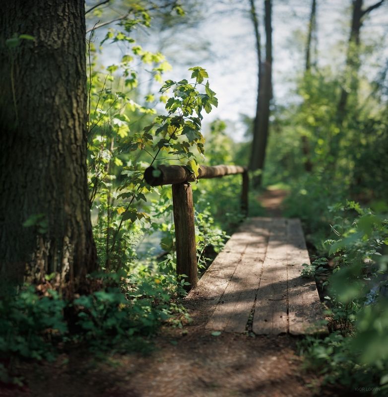 Lublinekphoto preview