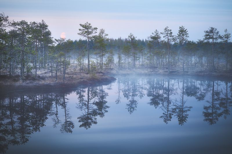 Весеннее туманное утроphoto preview