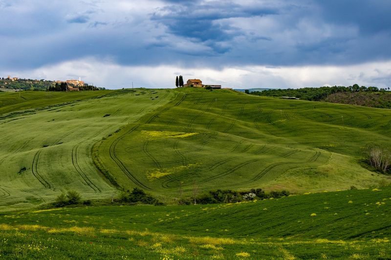Тосканский ковер фото превью