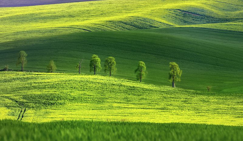 side by sidephoto preview