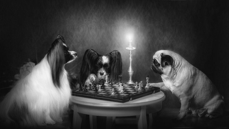 Gamers in black-white фото превью