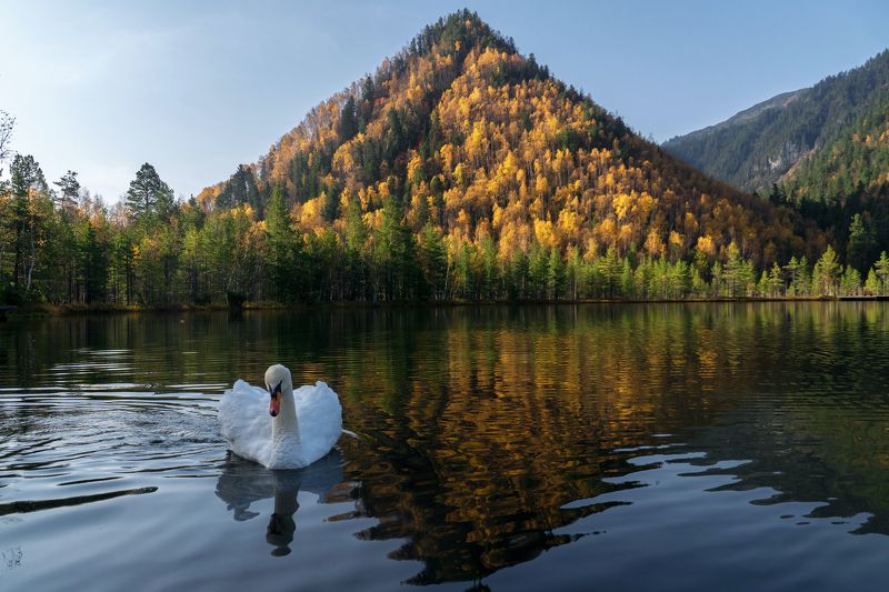 хамар-дабан, снежная, теплые озера Лебединое озеро фото превью