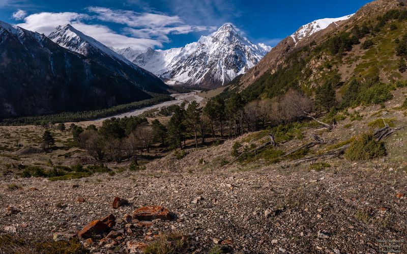 главный кавказский хребет, кавказ, кабардино-балкарский высокогорный заповедник, ущелье, горная река, северный кавказ, caucasian, panoramic shot, mountains, caucasus «Панорамный вид на ГКХ на границе тундры и лесотундры»photo preview