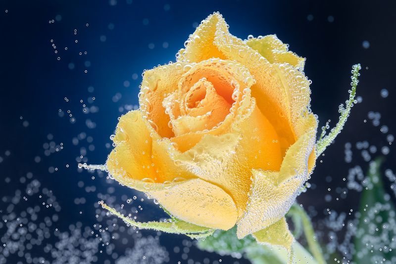 Аква-космос...photo preview