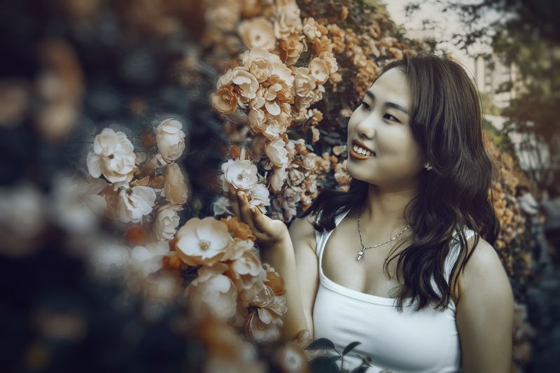 红蔷薇 红蔷薇photo preview