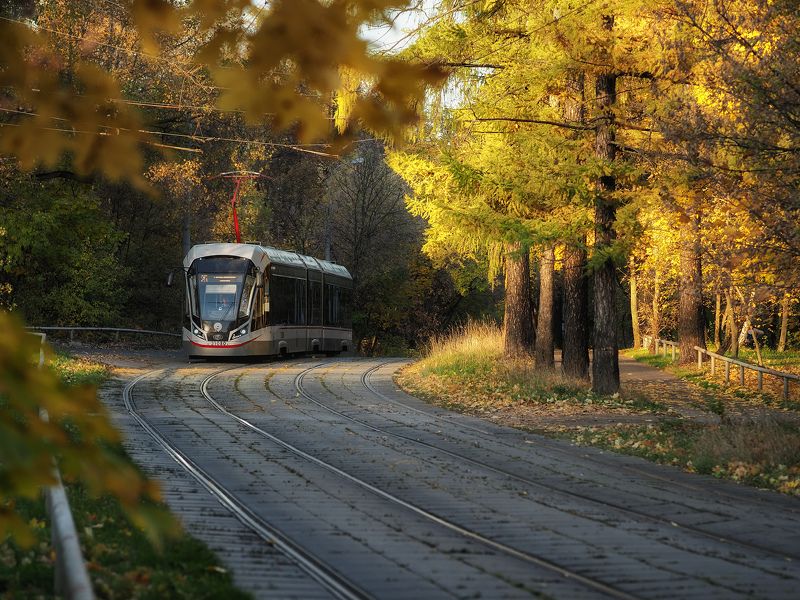 трамва, осень, сокольники, москва Осенний трамвайphoto preview
