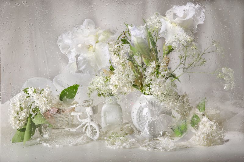 натюрморт, букет, цветы, ирисы, сирень Белоснежные ирисы фото превью