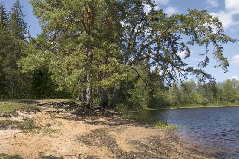 У озераphoto preview