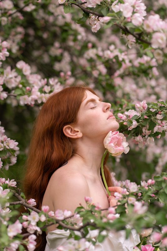 Бураяphoto preview