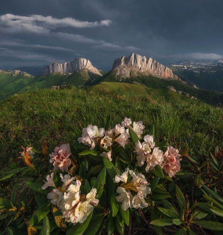 западный кавказ, ачешбок, чёртовы ворота, родрдендронн, гроза, свет, июнь, вечер Про Свет после грозыphoto preview