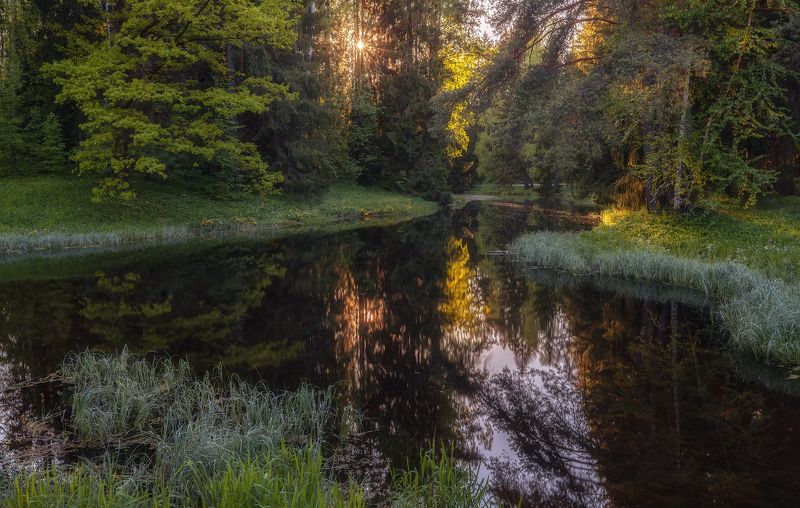 весна река солнце вечер закат май отражение Триумф весныphoto preview