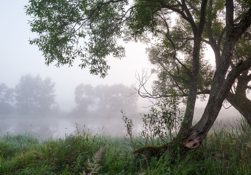 Летние туманыphoto preview