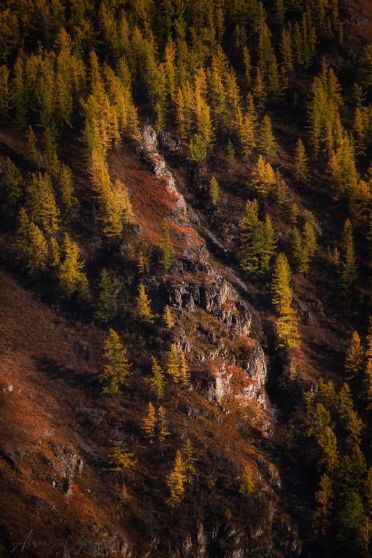 altay, autumn, october, cold, mountains, landscape ***photo preview