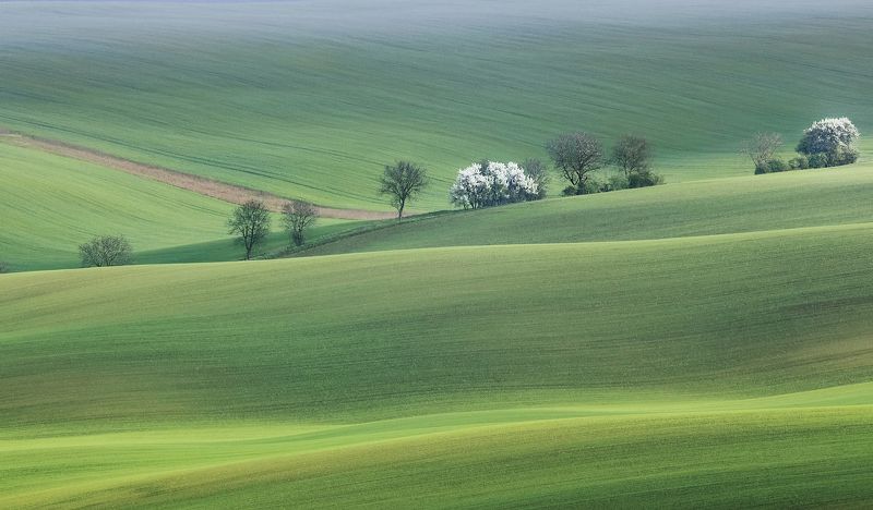 +++++++photo preview