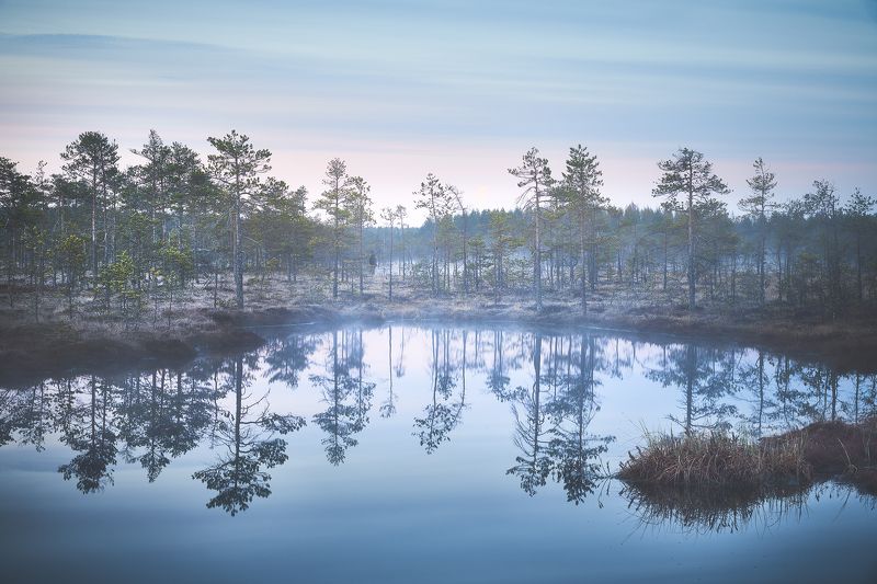 Утроphoto preview