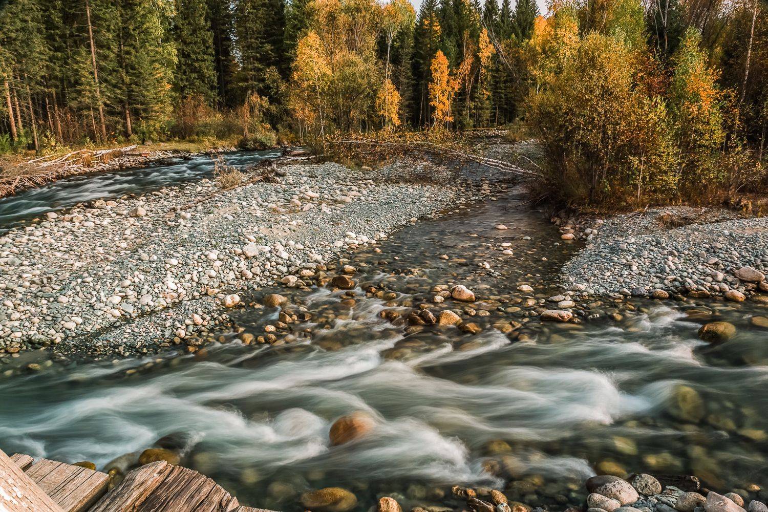 Алтай, Россия, природа, пейзаж,река, осень, мульта, Лариса Дука