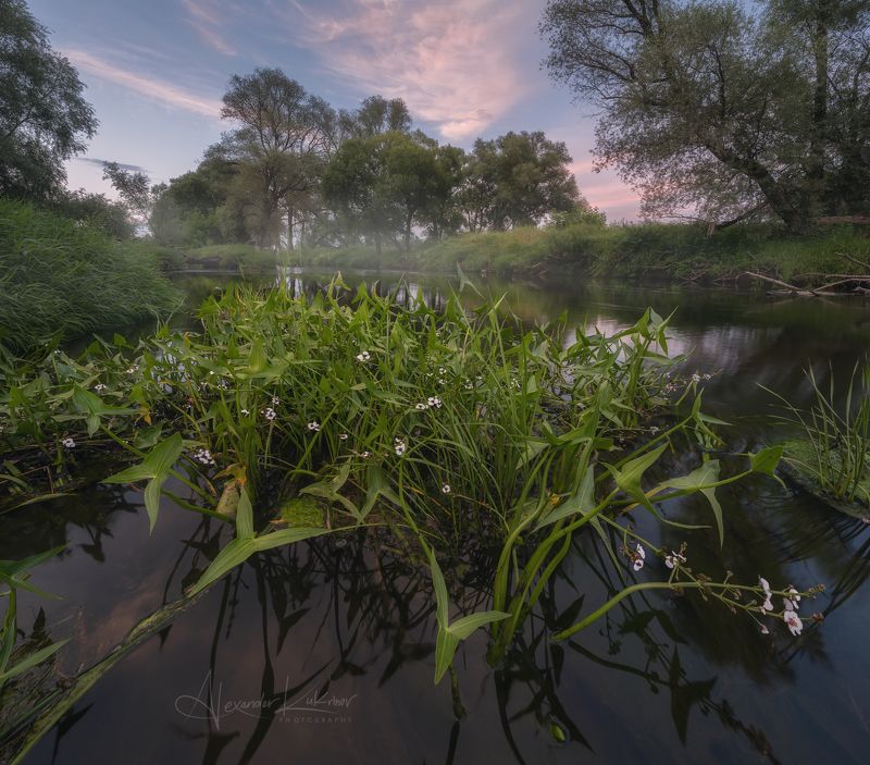 вечер,закат,река,угра,пейзаж Вечер у реки...photo preview