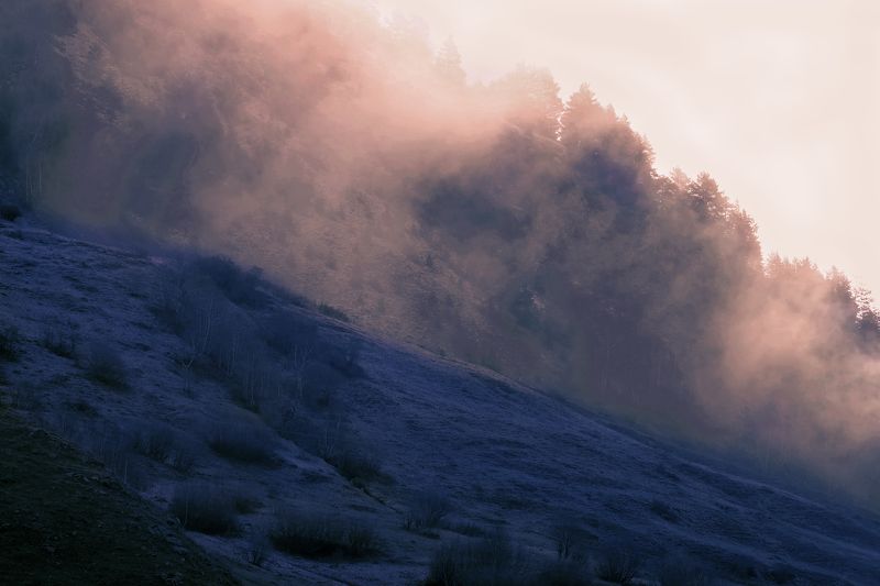 Солнце в холодной долинеphoto preview