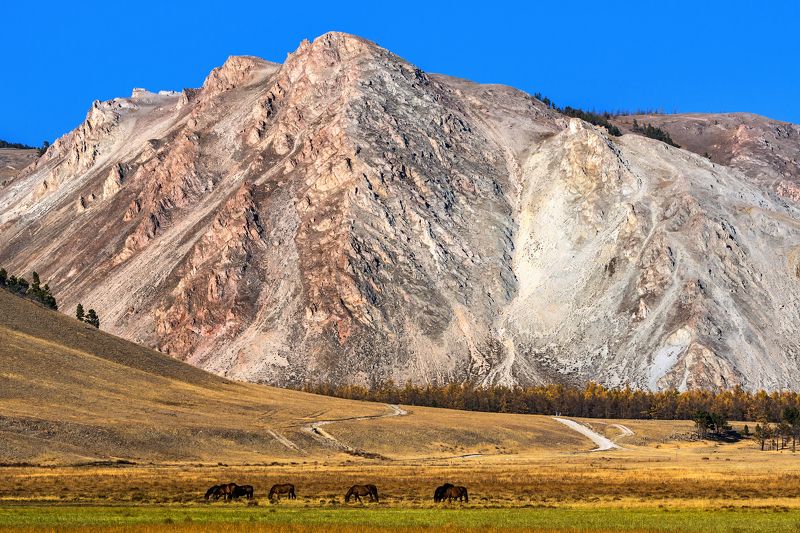 байкал, малое море, зундук Зундук гораphoto preview