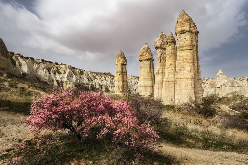 турция, каппадокия, холмы, горы, скалы, долина, долина любви, весна, turkey, cappadocia, hill, hills, mountain, rock, rocks, love valley, valley, spring Долина любви (Каппадокия) / Love valley (Cappadocia)photo preview