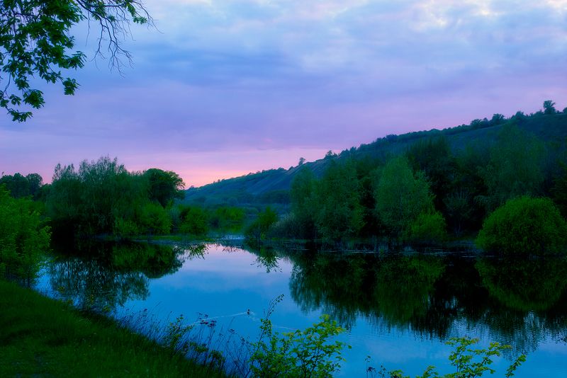 Only silence.photo preview