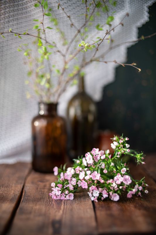 Натюрморт гвоздика береза коричневый  Уютноеphoto preview