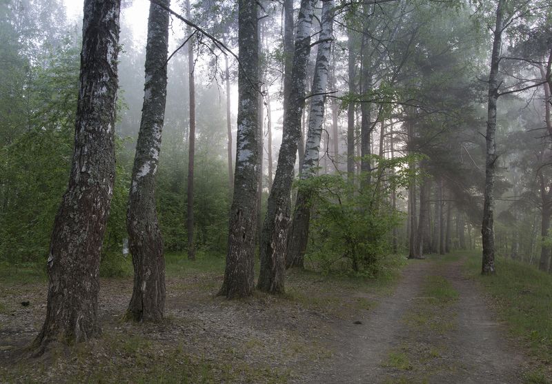 весеннее утроphoto preview