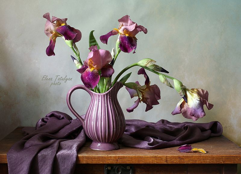 ирисы Лиловые ирисыphoto preview