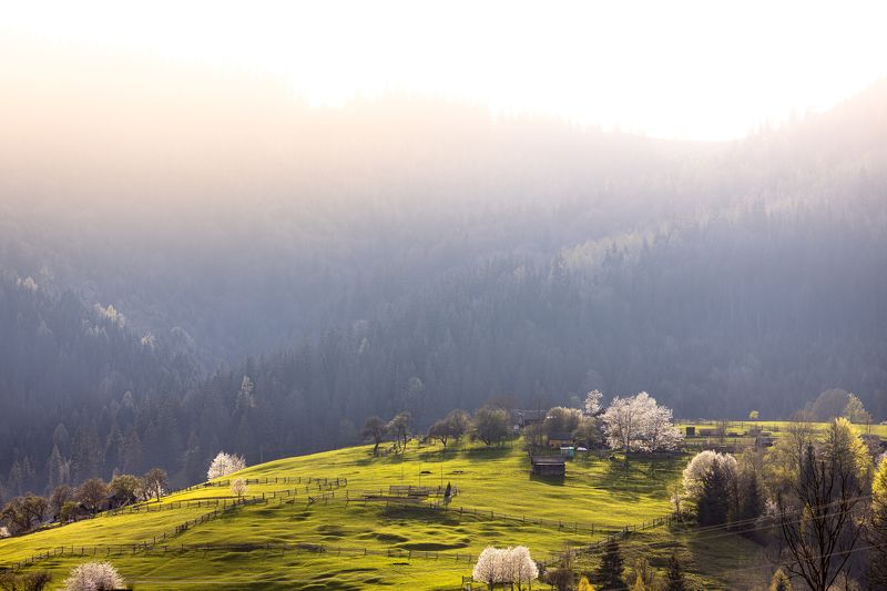 горы, пейзаж Dzembronya 2photo preview