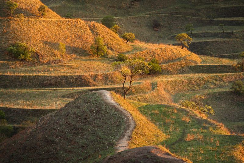 Последний свет фото превью