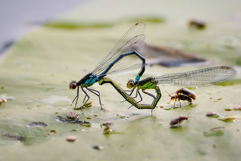 Весна - время любви!photo preview