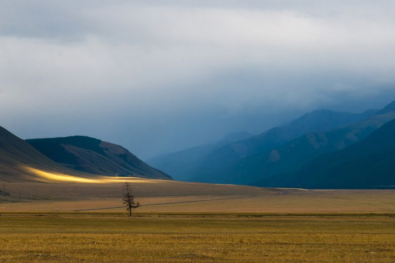 горы, горный алтай, чуйский тракт, пейзаж, алтай, дорога, россия Чуйский трактphoto preview