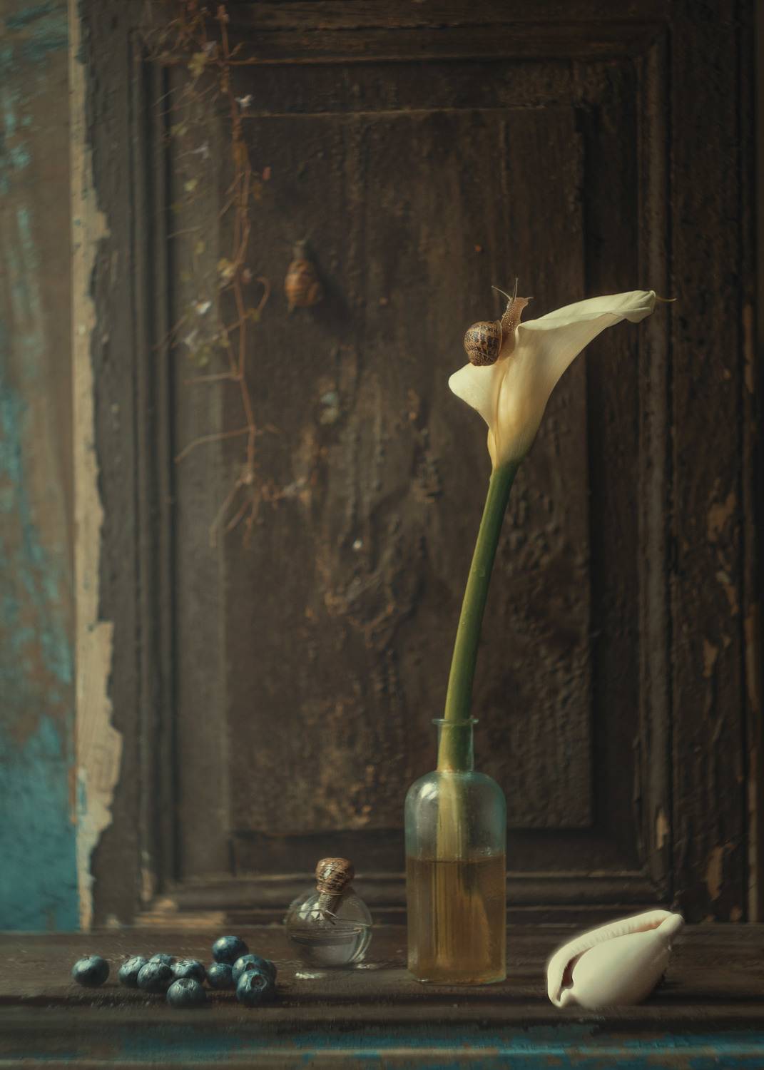 ***. Автор: Ricci Natalia , Ricci Natalia