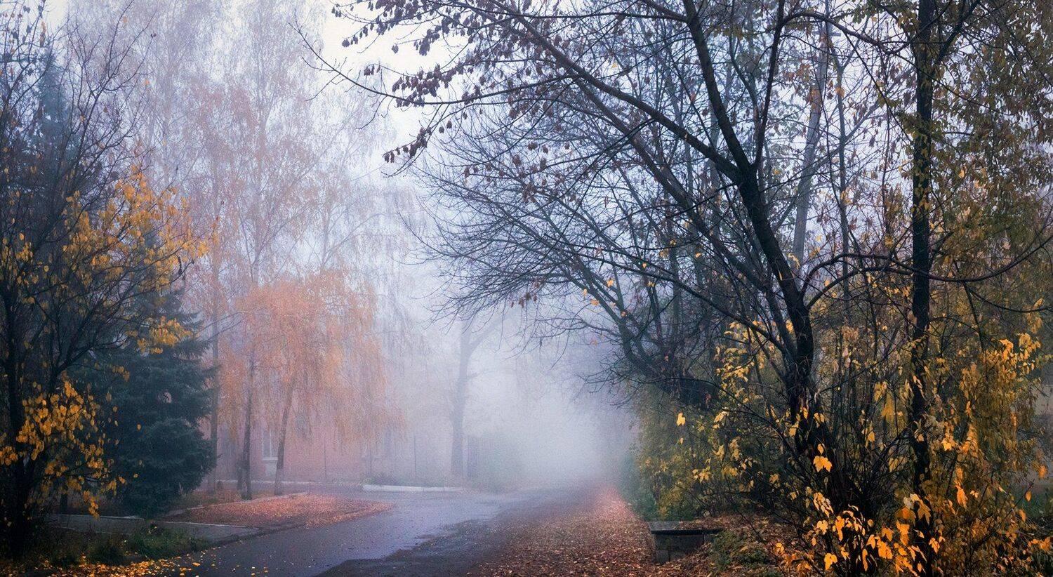 Туманные перспективы. Автор: Игорь Мелекесцев , Игорь Мелекесцев