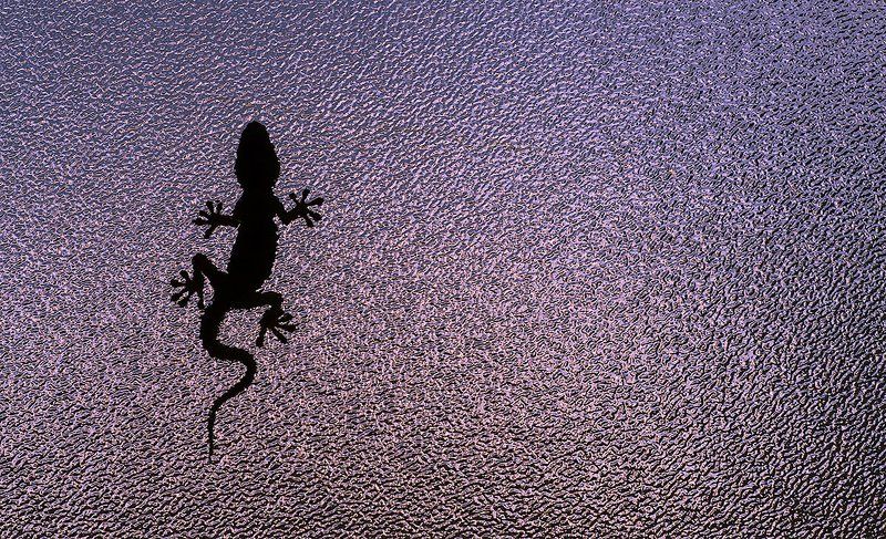 Окно ванной.photo preview