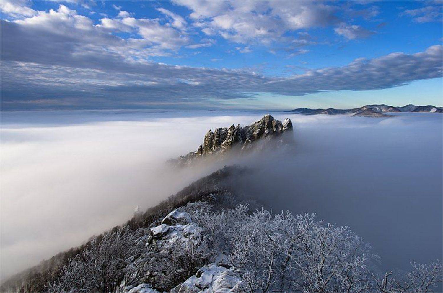 , Ловиков Михаил