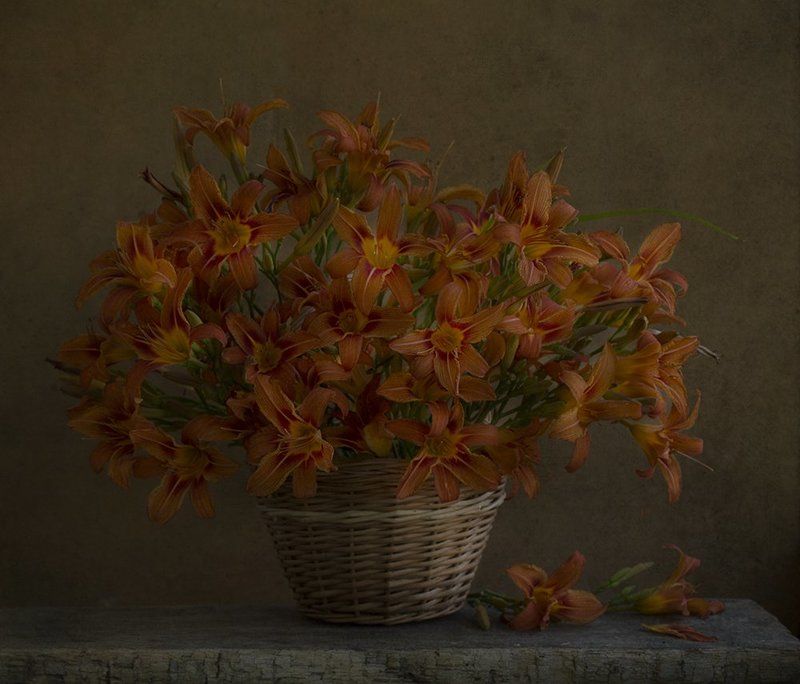 О, как красив и нежен тот лилейник...photo preview