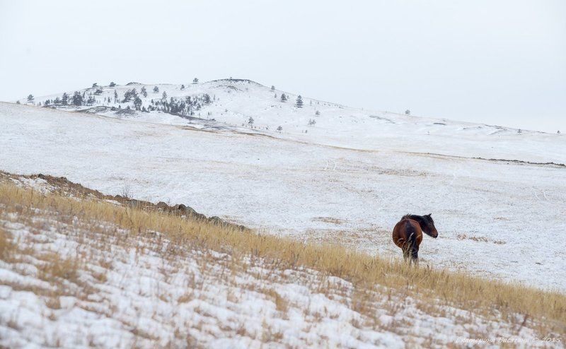 Одинокая...photo preview