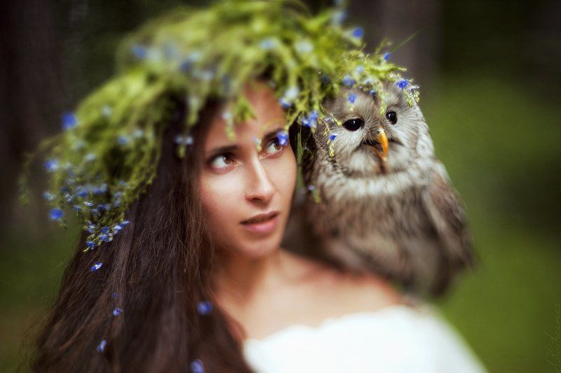 Вейлаphoto preview