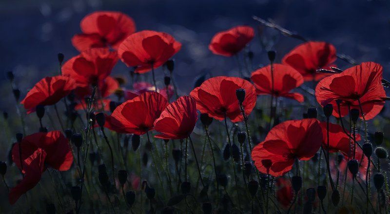 Поздний вечер.photo preview