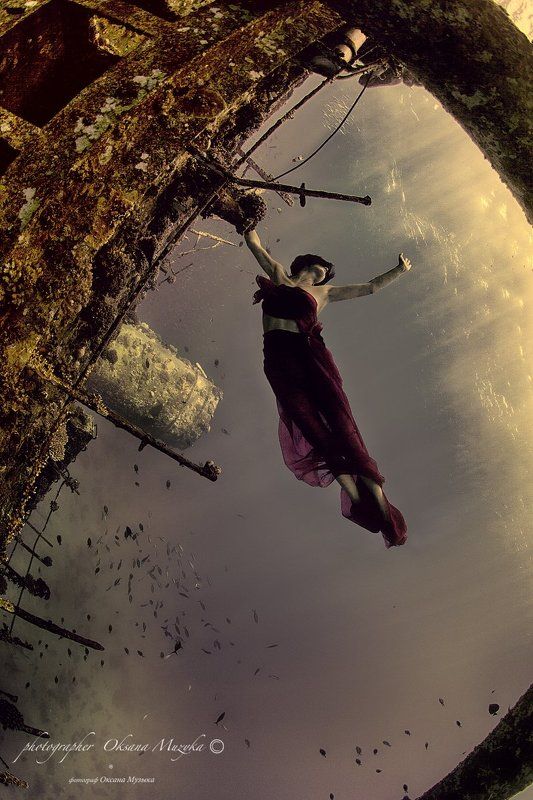 Стремление к свету из царства Нептуна.photo preview