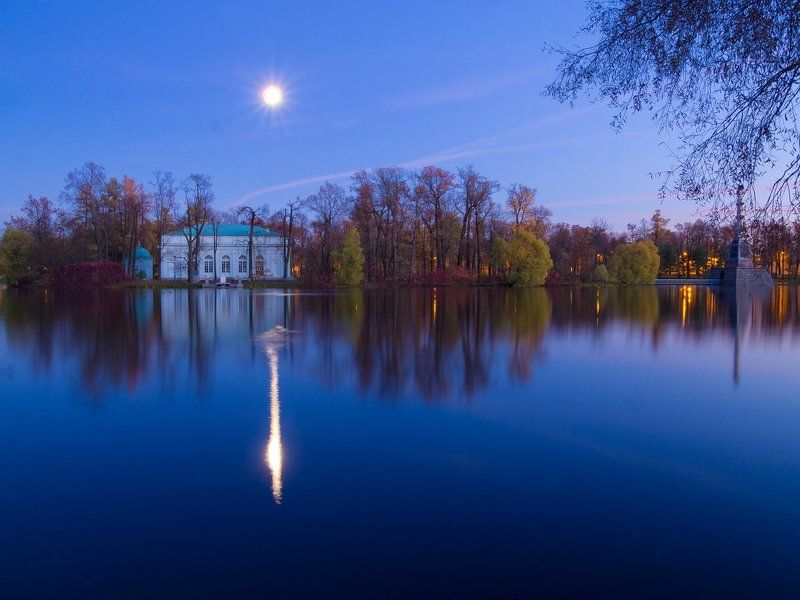 Ночь в парке. г.Пушкинphoto preview