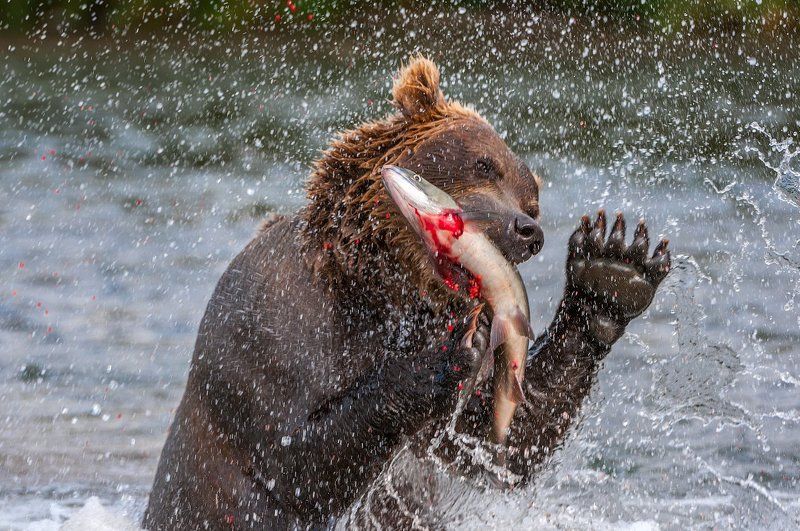 Поймал !photo preview