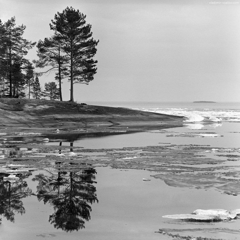 120, 6x6, bw, bronica, film, ice, island, karelia, lake, mediumformat, russia, spring, square, travel, water, карелия, озеро, онега, пленка, весна, чб, лед, остров photo preview